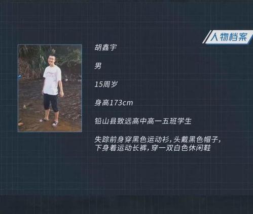 新闻爆料失踪案例最新,追踪最新未解之谜，揭开失踪者命运之谜  第2张