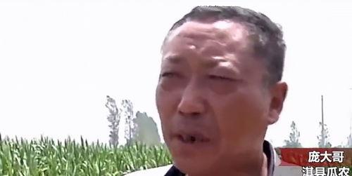 呼市吃瓜最新事件爆料新闻,揭秘最新爆料背后的真相与争议”  第3张